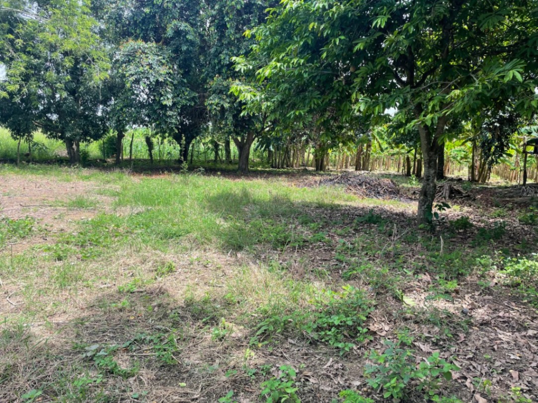 Via Aeropuerto, Cereté, Córdoba, Colombia 3